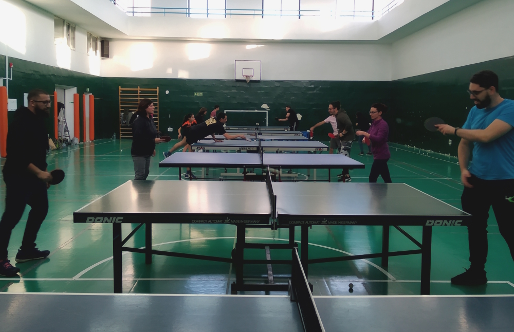 Adults table tennis group at alpha table tennis klabb malta