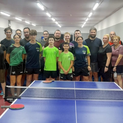 Adult Table Tennis Training Camp