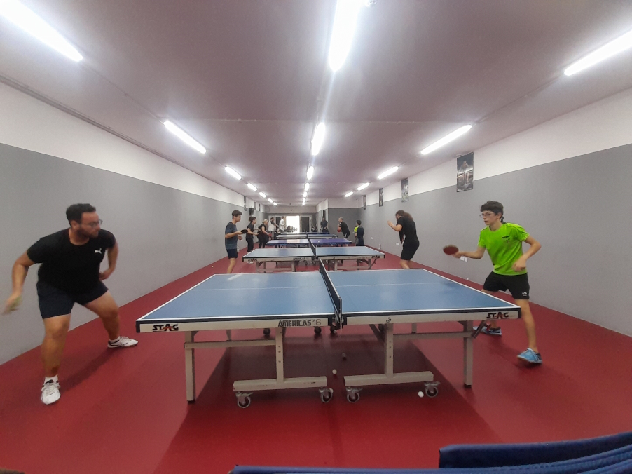adult table tennis training session during malta - lithuania trianing camp